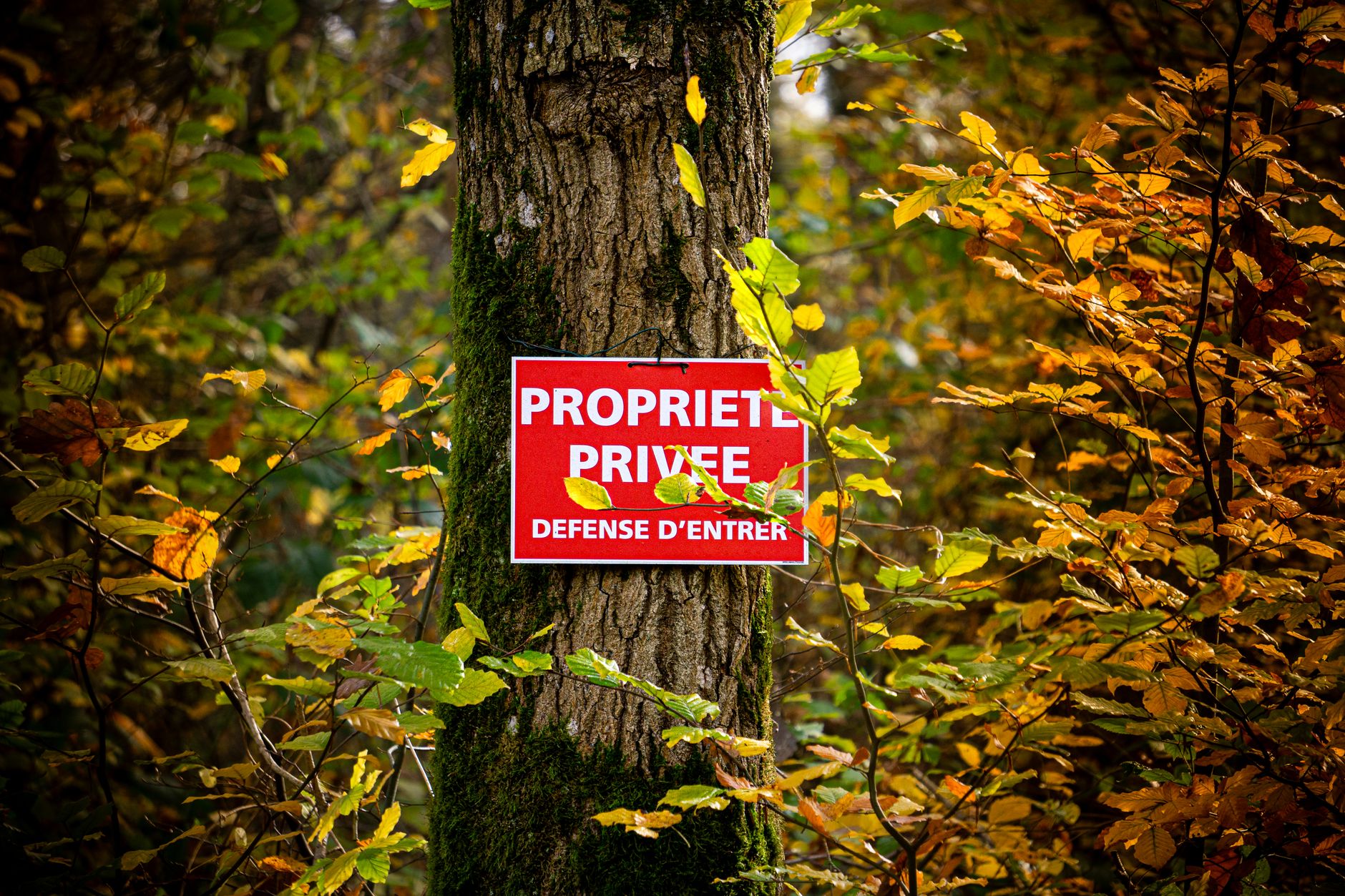 Détective privé à Argenteuil